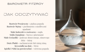 Barometr Fitzroya  (1)